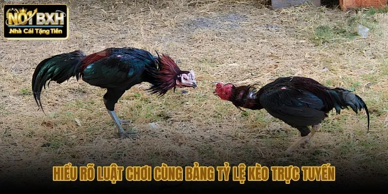 hieu-ro-luat-choi-cung-bang-ty-le-keo-truc-tuyen hieu-ro-luat-choi-cung-bang-ty-le-keo-truc-tuyen